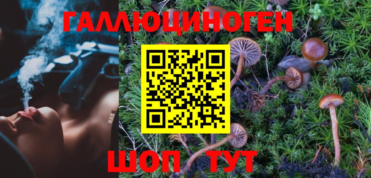 Галлюциногенные грибы мицелий Старая Купавна