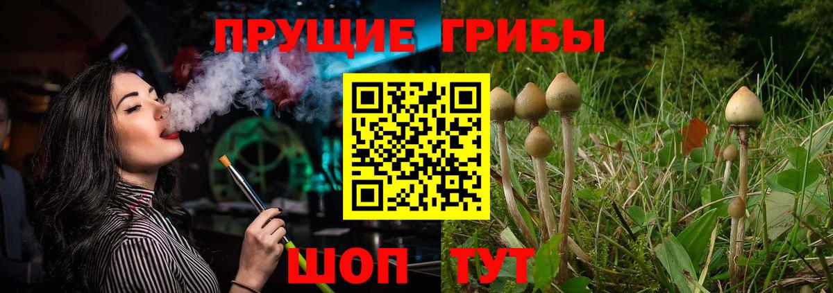 Старая Купавна  Псилоцибиновые грибы прущие грибы  Вход с VPN 